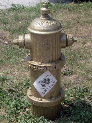 Shannonigans - Plymouth and Michigan (2)